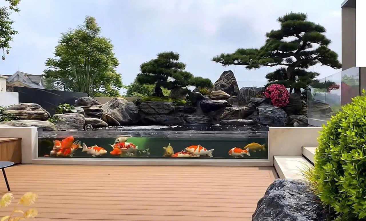 Công trình hồ cá Koi