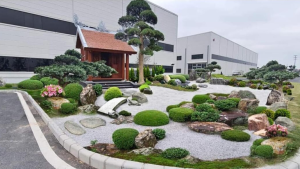 TIỂU CẢNH SÂN VƯỜN