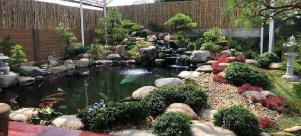 Bình yên giữa lòng phố thị