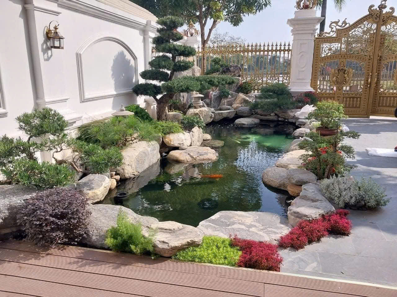 Hồ cá Koi cao cấp tại biệt thự Huế